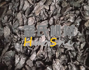 蒸女貞子、黃精體驗(yàn)